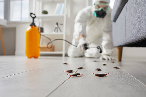 Affordable Cockroach Control solutions in Lyncourt, NY